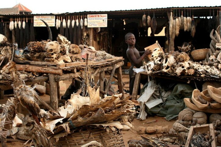 Voodo-fetischmarkt-Lomé