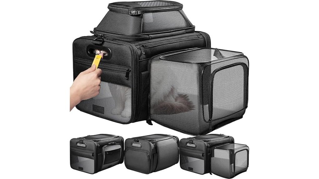 airline approved expandable pet carrier