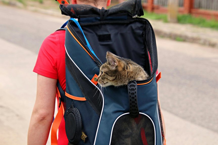 calm cats travel carriers
