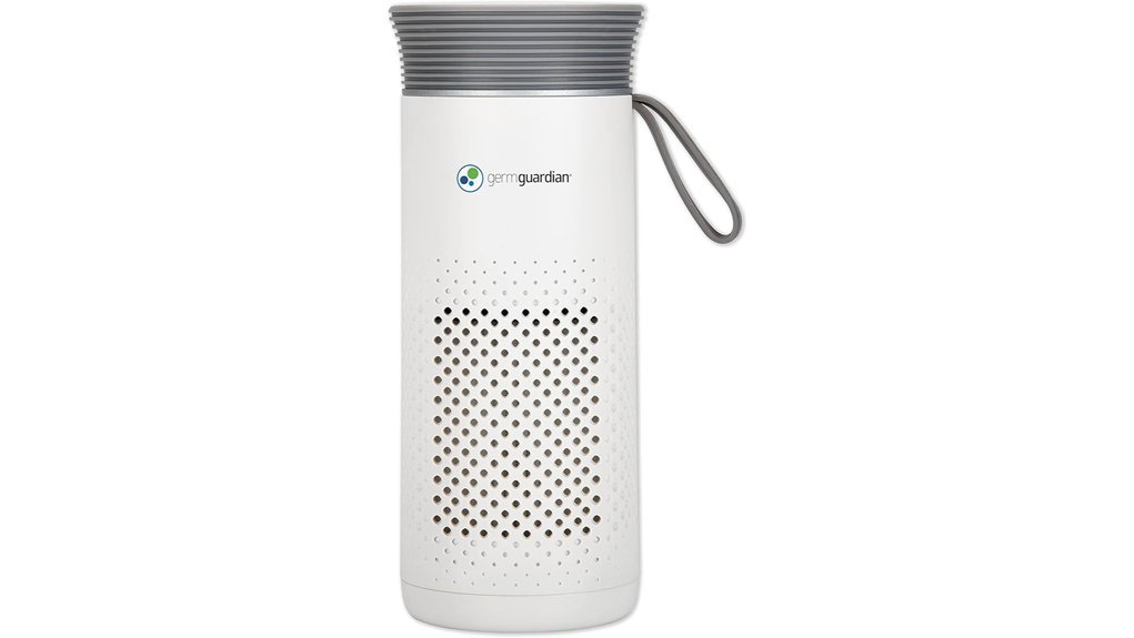 portable allergen air purifier