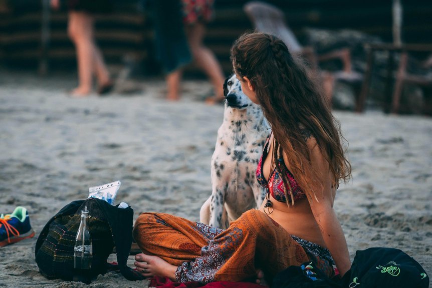 travel bags for dogs