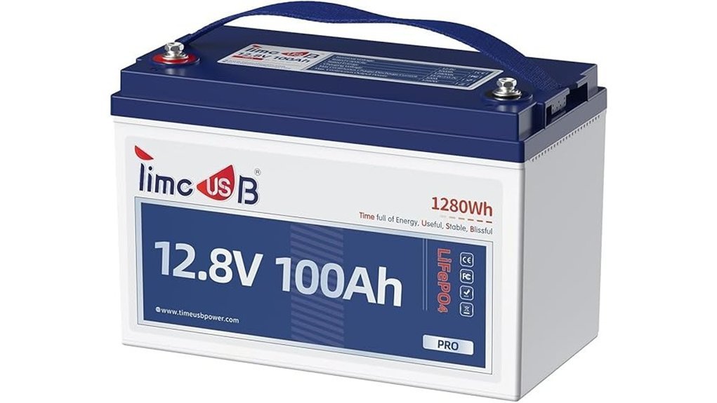 12v 100ah lifepo4 battery