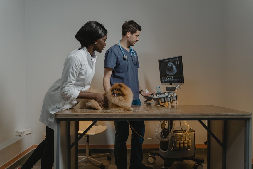 safe rv pet monitoring
