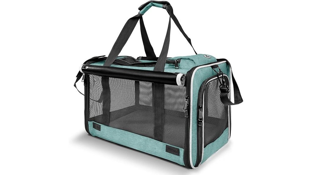 teal collapsible dog carrier