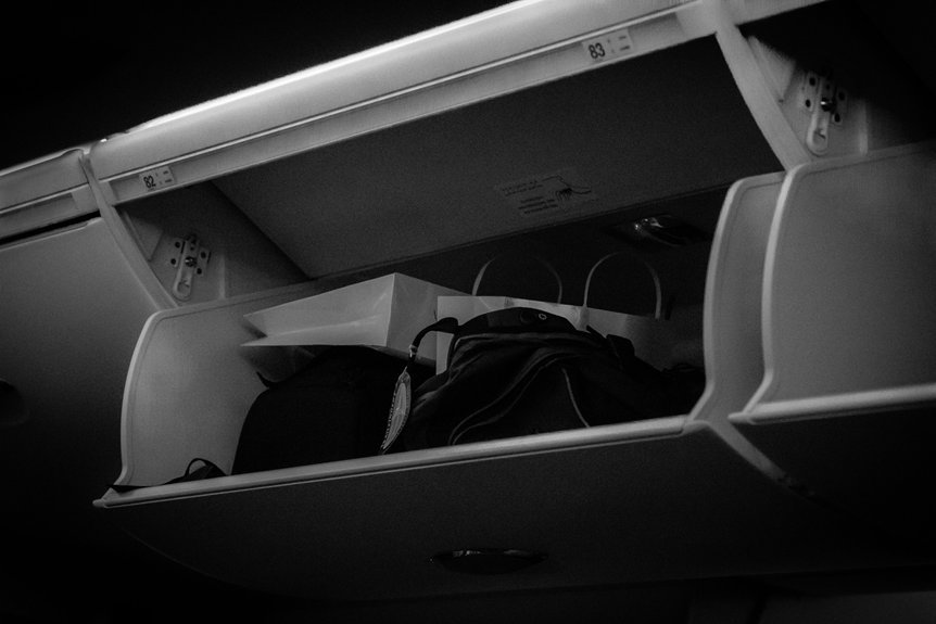 universal overhead bin luggage